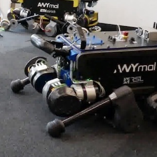 Learning Agile and Dynamic Motor Skills for Legged Robots